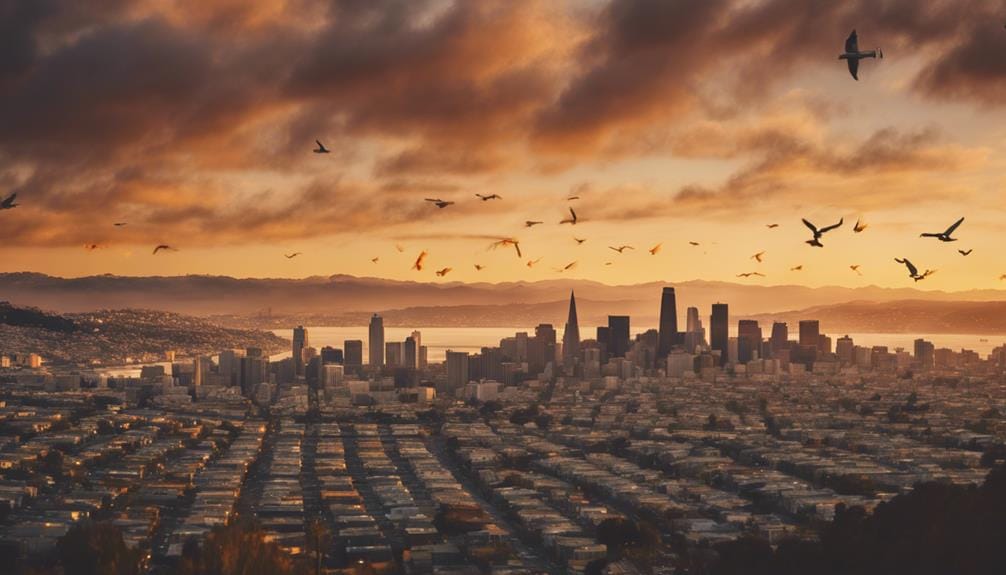 Fast Reverse Mortgage Loans - Competitive Rates & Expert Guidance exploring bay area mortgages